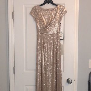 Adrianna Papell Blush Gown Size 0
